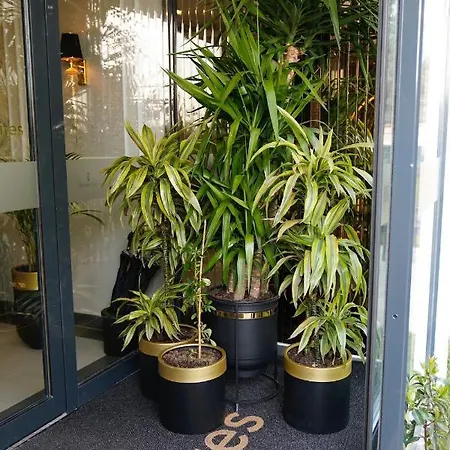 Olivera Suites Szálloda *