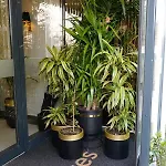 Olivera Suites Hotel *