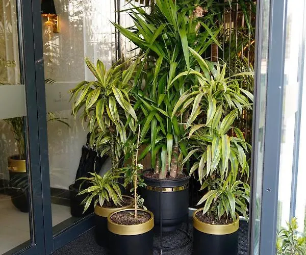 Olivera Suites Отель *